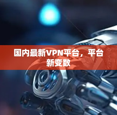 国内最新VPN平台，平台新变数