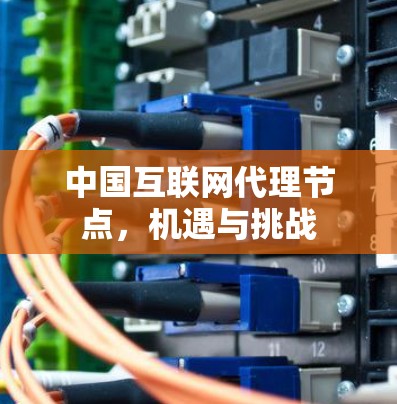 中国互联网代理节点，机遇与挑战