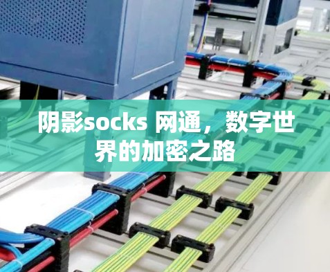 阴影socks 网通，数字世界的加密之路