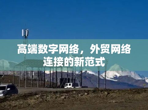 高端数字网络，外贸网络连接的新范式