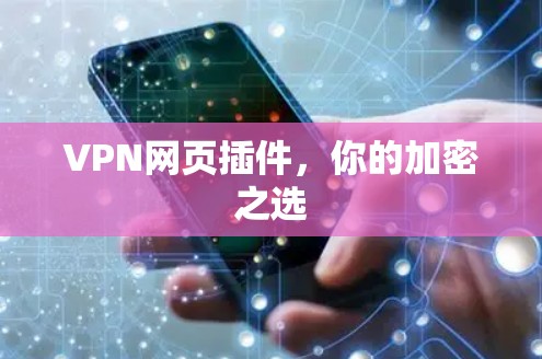 VPN网页插件,你的加密之选