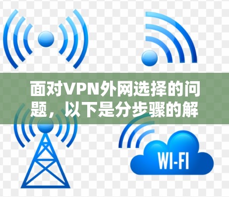 面对VPN外网选择的问题，以下是分步骤的解决方案