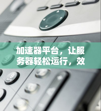 加速器平台，让服务器轻松运行，效率爆表！