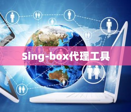 Sing-box代理工具 Sing-box代理工具