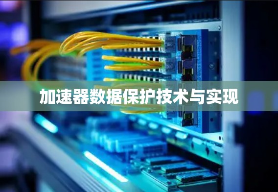 加速器数据保护技术与实现