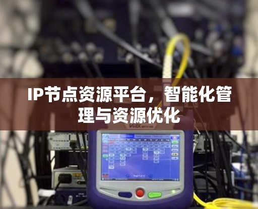 IP节点资源平台，智能化管理与资源优化