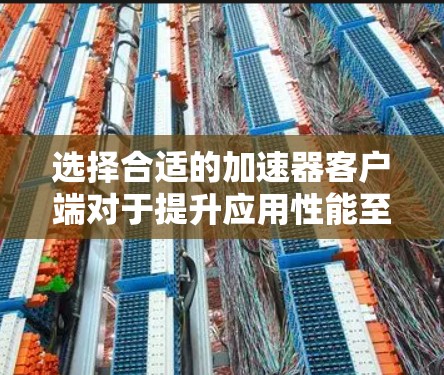 选择合适的加速器客户端对于提升应用性能至关重要。以下是根据需求和项目特点的加速器客户端选择指南 选择合适的加速器客户端对于提升应用性能至关重要。以下是根据需求和项目特点的加速器客户端选择指南