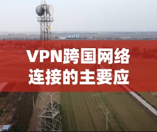 VPN跨国网络连接的主要应用 VPN跨国网络连接的主要应用