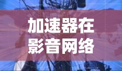 加速器在影音网络中的应用主要是为了优化数据传输速度,减少延迟,提高用户体验。以下是对加速器在影音网络中的详细分析 加速器在影音网络中的应用主要是为了优化数据传输速度,减少延迟,提高用户体验。以下是对加速器在影音网络中的详细分析
