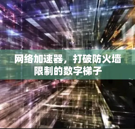 网络加速器,打破防火墙限制的数字梯子 网络加速器,打破防火墙限制的数字梯子