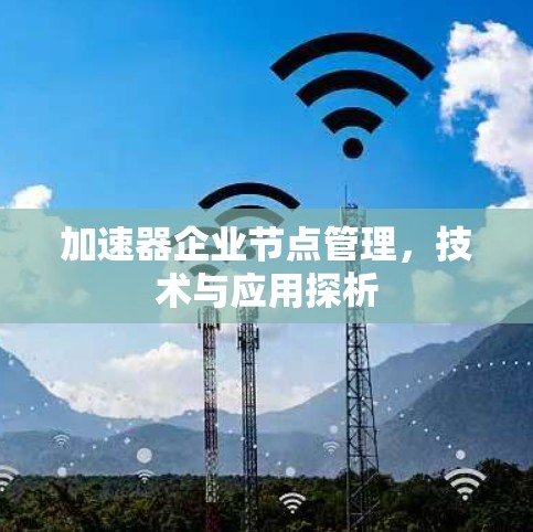 加速器企业节点管理,技术与应用探析 加速器企业节点管理,技术与应用探析