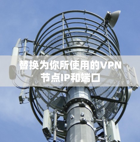 替换为你所使用的VPN节点IP和端口