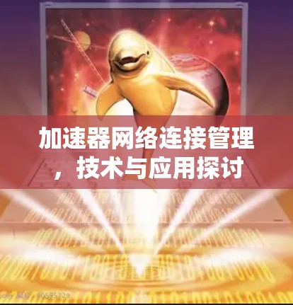 加速器网络连接管理，技术与应用探讨