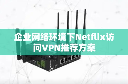企业网络环境下Netflix访问VPN推荐方案 企业网络环境下Netflix访问VPN推荐方案