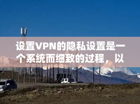 设置VPN的隐私设置是一个系统而细致的过程，以下是分步指南