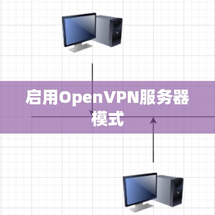 启用OpenVPN服务器模式 启用OpenVPN服务器模式
