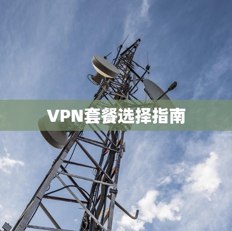 VPN套餐选择指南