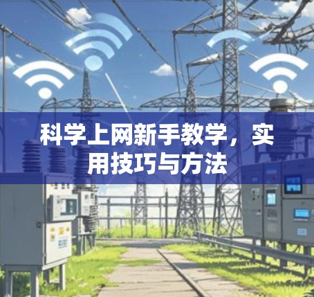 科学上网新手教学，实用技巧与方法