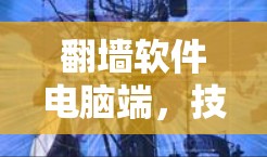 翻墙软件电脑端，技术与应用全解析