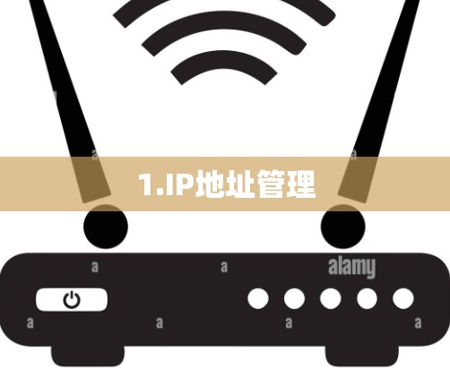 1.IP地址管理 1.IP地址管理