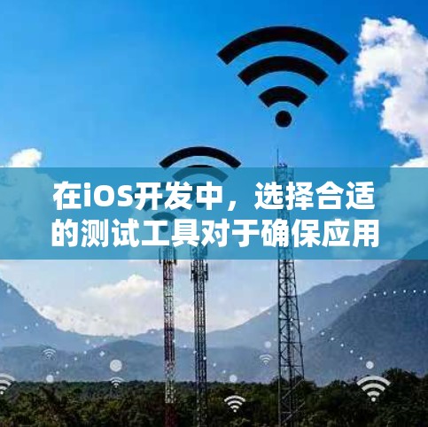 在iOS开发中,选择合适的测试工具对于确保应用质量至关重要。以下是针对iOS节点测试工具的详细分析和建议 在iOS开发中,选择合适的测试工具对于确保应用质量至关重要。以下是针对iOS节点测试工具的详细分析和建议