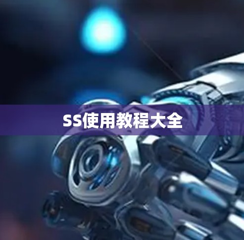 SS使用教程大全 SS使用教程大全