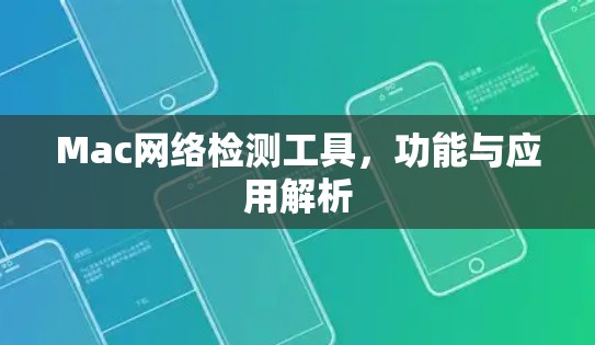Mac网络检测工具,功能与应用解析 Mac网络检测工具,功能与应用解析