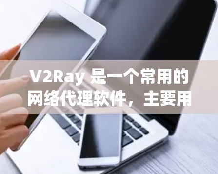 V2Ray 是一个常用的网络代理软件，主要用于代理网络流量，绕过网络限制，提高网络访问速度。对于性能分析，以下是一些可以帮助你分析和优化 V2Ray 性能的工具和方法