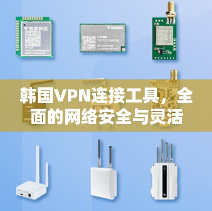 韩国VPN连接工具，全面的网络安全与灵活访问