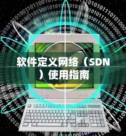 软件定义网络（SDN）使用指南