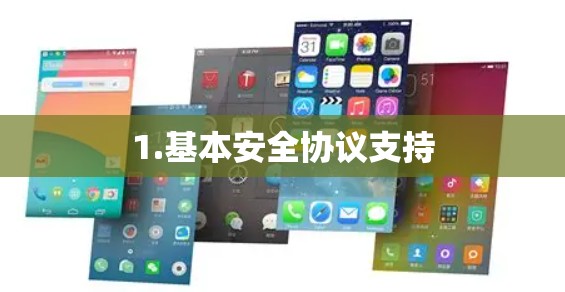 1.基本安全协议支持