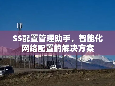 SS配置管理助手,智能化网络配置的解决方案 SS配置管理助手,智能化网络配置的解决方案