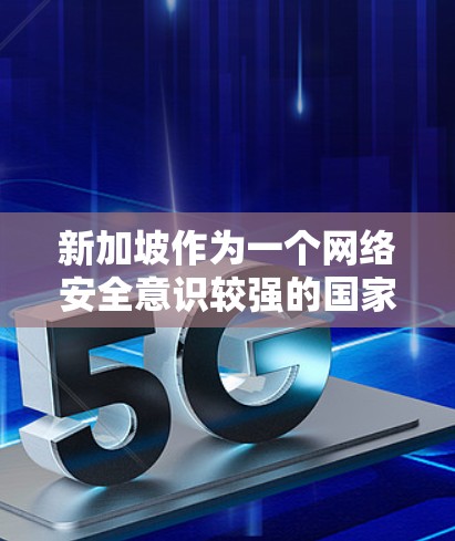 新加坡作为一个网络安全意识较强的国家，网络监管也相对严格。使用VPN服务时，用户需要确保所选服务符合当地法律法规，避免非法使用网络服务。以下是一些在新加坡提供服务的知名VPN服务平台，供您参考