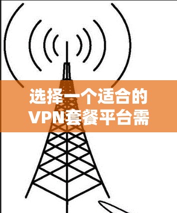 选择一个适合的VPN套餐平台需要综合考虑多个因素，以下是根据您的需求整理出的选择指南