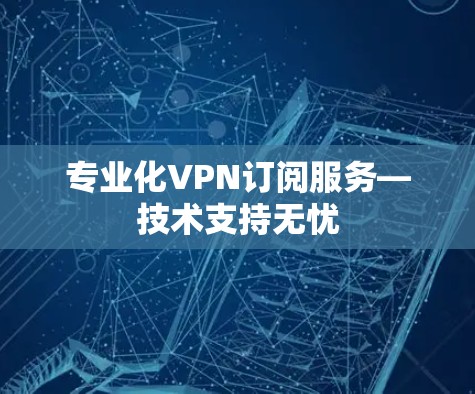专业化VPN订阅服务—技术支持无忧